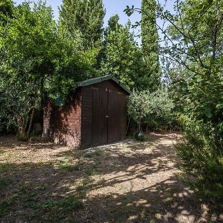 Ferienwohnung La Sosta Del Pellegrino Sorano  Exterior foto