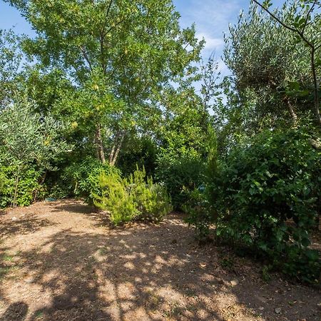 Ferienwohnung La Sosta Del Pellegrino Sorano  Exterior foto