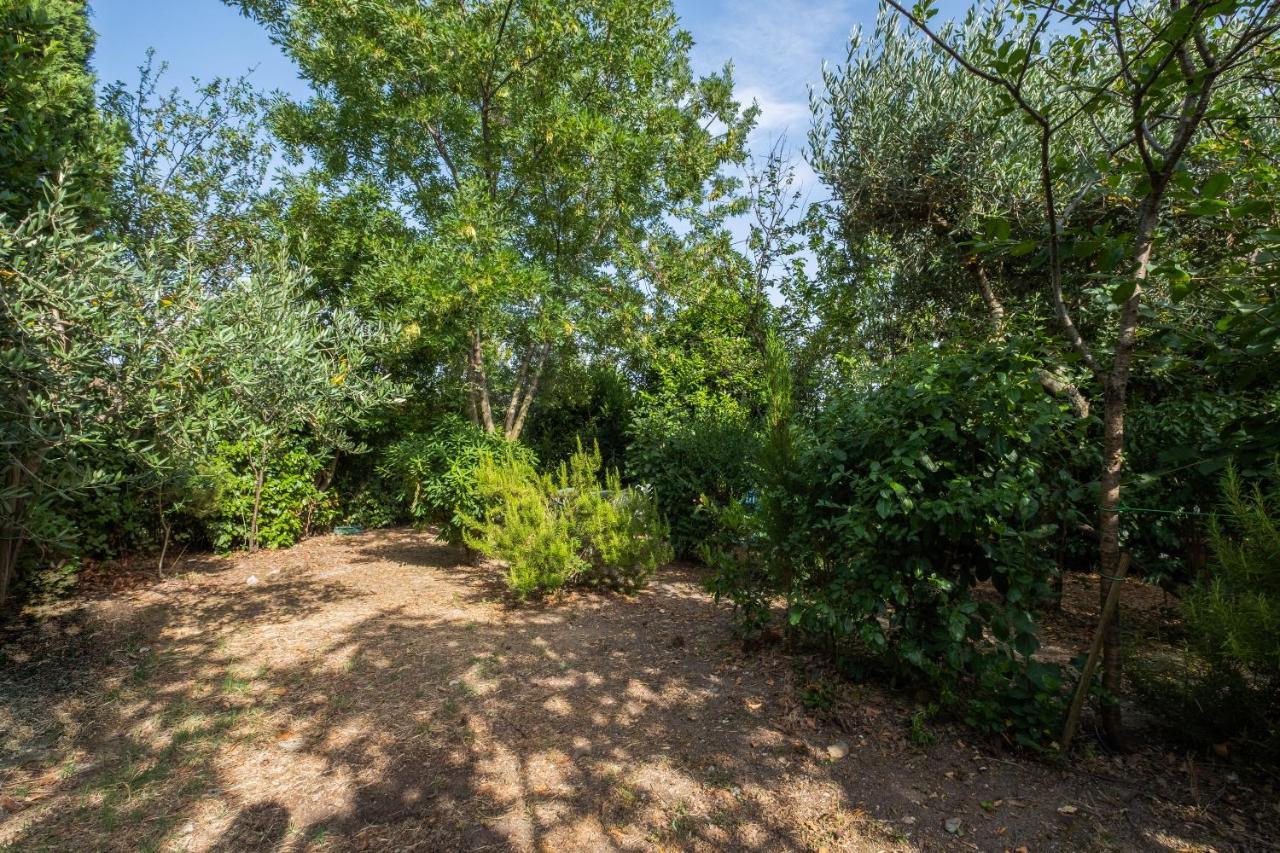 Ferienwohnung La Sosta Del Pellegrino Sorano  Exterior foto